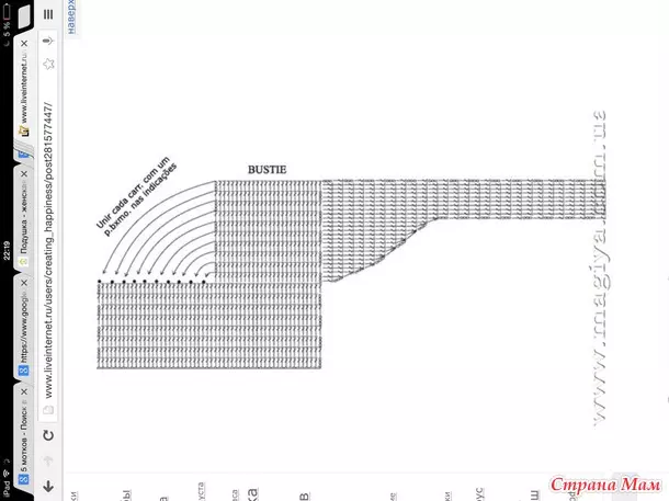 鉤針枕頭：具有描述和視頻的方案