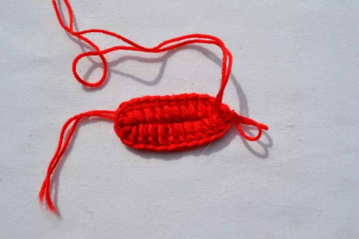 Crochet sinovlari: boshlanuvchilar uchun sxemalar va tavsiflar