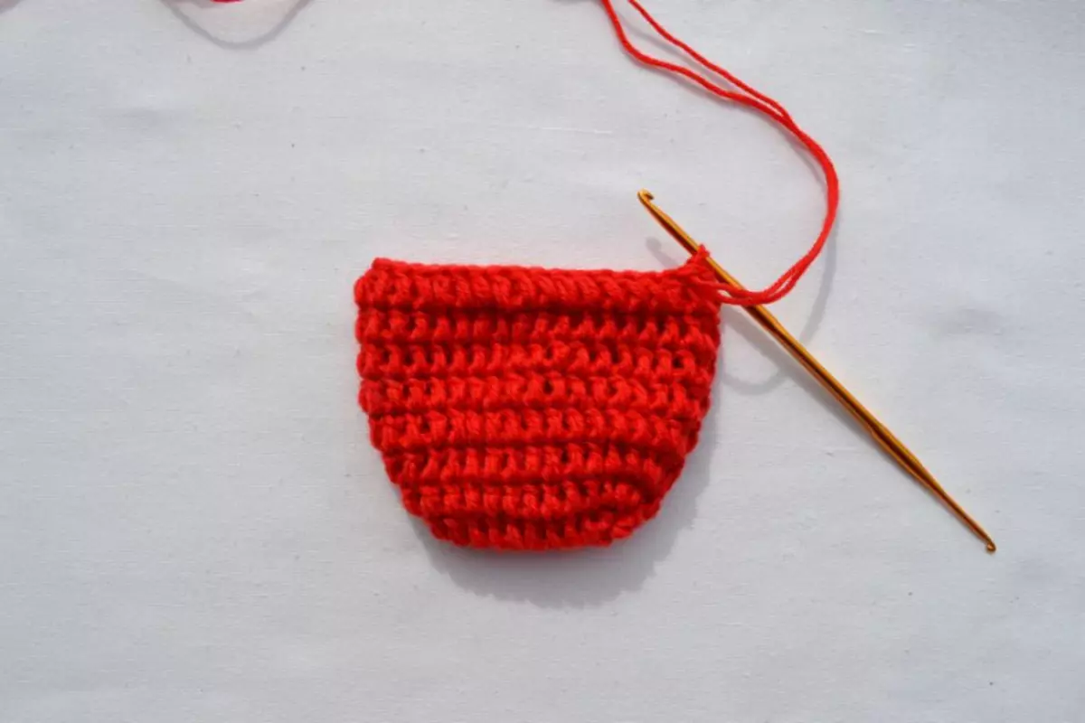 Crochet ٹیسٹ: beginners کے لئے منصوبوں اور وضاحتیں