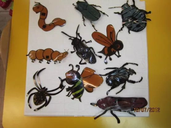 Insektet e bëjnë vetë nga materiale të shëndetshme me foto dhe video