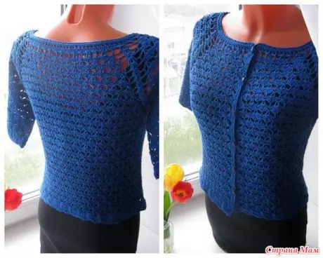 Raglan crochet from above: models with jamper schemes in master class