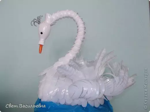 Swan soti nan boutèy plastik fè li tèt ou ak videyo ak foto