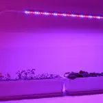 Baggrundsbelysning til værelsesfarver: Valg, funktioner og typer af lamper