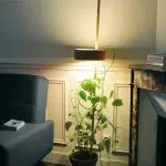 Թողարկման լուսավորություն Սենյակների գույների համար. Լամպերի ընտրություն, առանձնահատկություններ եւ տեսակներ