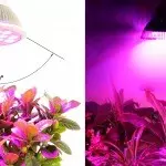 Luz de fundo para cores do quarto: escolha, características e tipos de lâmpadas