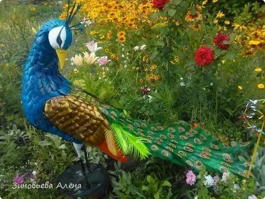 Master Class li ser Peacock ya şûşeyên plastîk: Kevir bi vîdyoyê û wêneyan