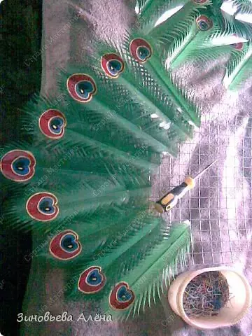 Master Class op Peacock vu Plastiksfläschen: Handwierker mat Video a Fotoen