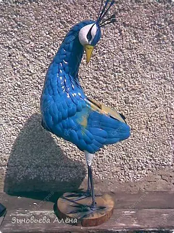 Master-luokka Peacock of Muovipulloja: käsityöt, joissa on video ja valokuvat