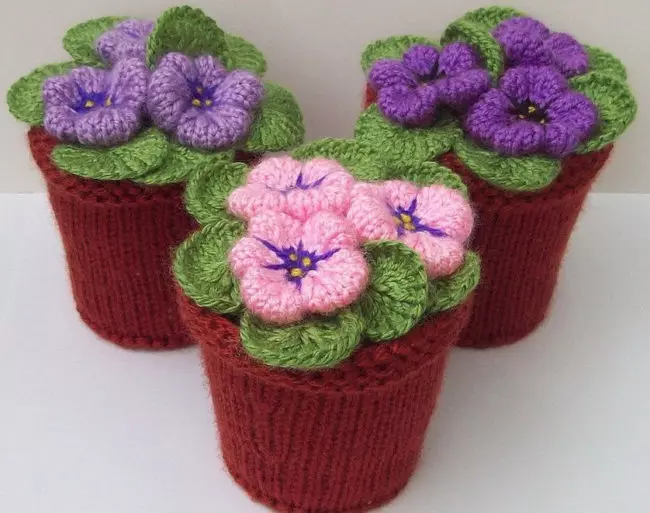 Fruorm kanggo Crochet Novice: Kelas Master karo Skema Model