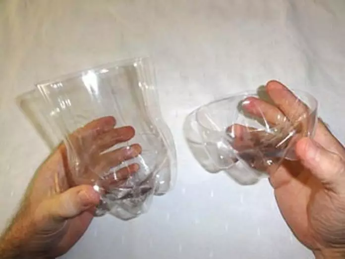 Pădurea sticlei din plastic cu propriile mâini: Clasa Master cu video