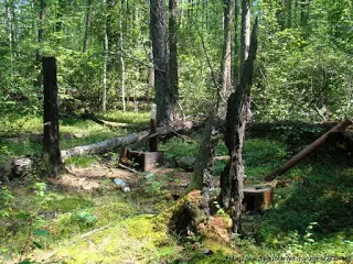 Construir una casa per a un caçador en una taiga