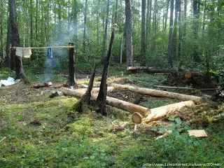 Costruire una casa per un cacciatore in una taiga