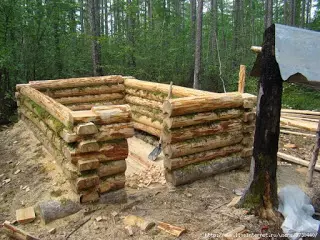 בניית בית לצייד בטאיגה