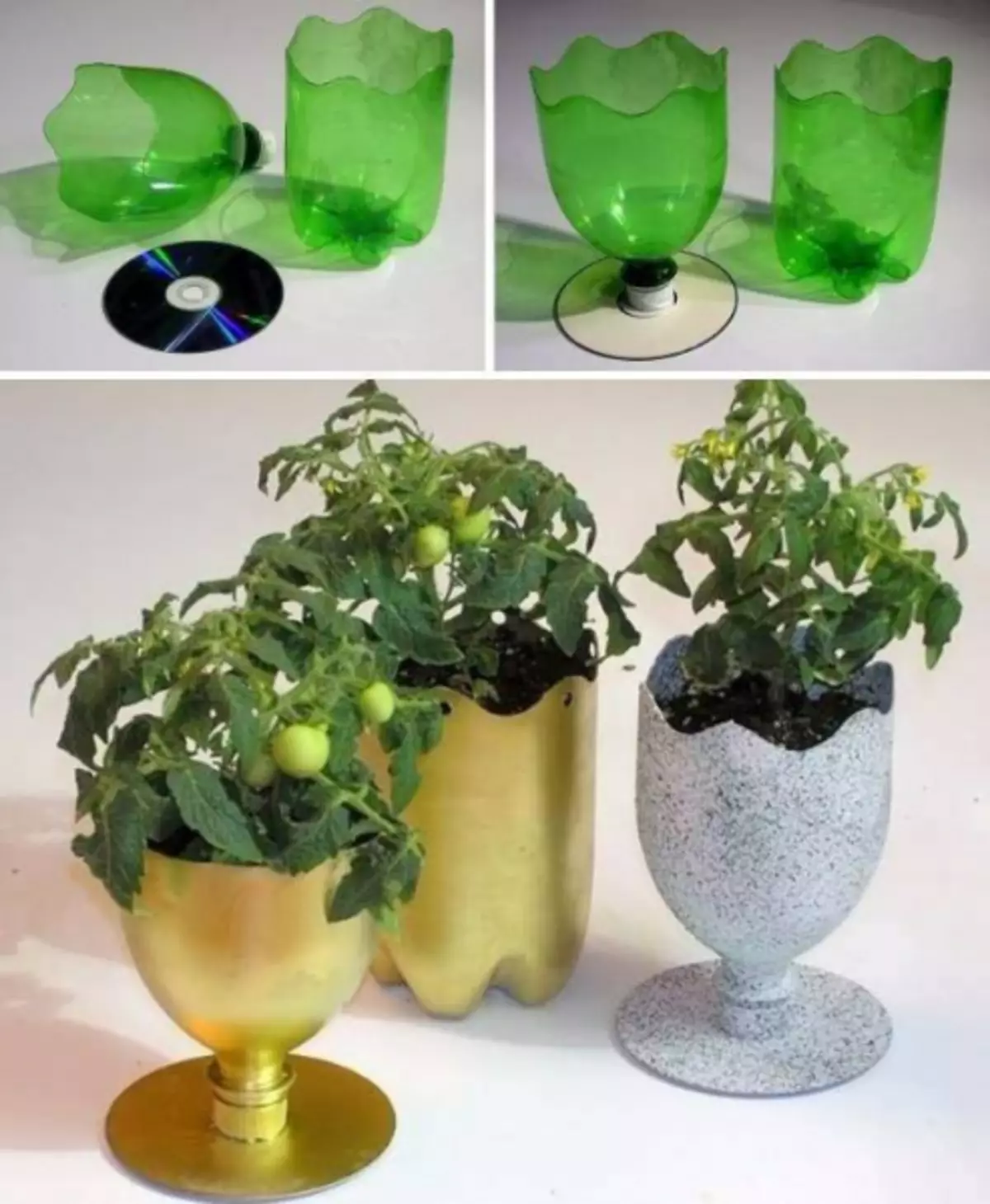 Vaza iz plastične boce sa vlastitim rukama korak po korak sa fotografijama i video