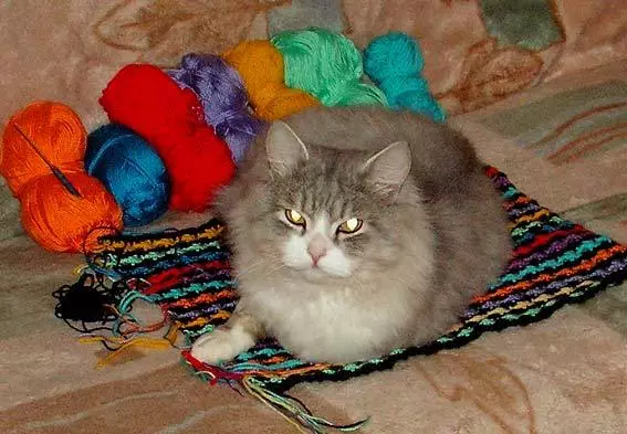 Crochet mi