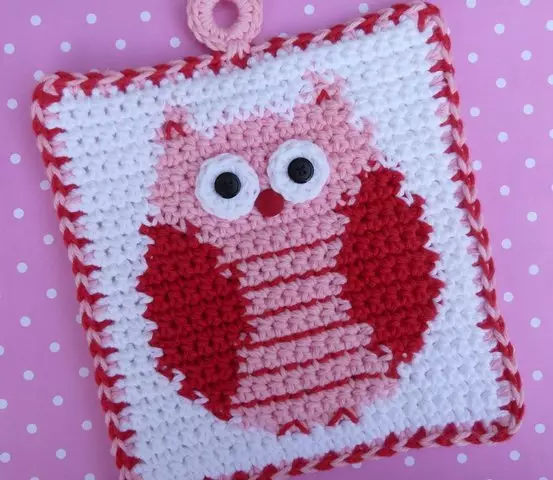 I-Owl Crochet eneskimu kunye nenkcazo yeklasi enkulu