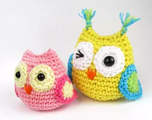 I-Owl Crochet eneskimu kunye nenkcazo yeklasi enkulu