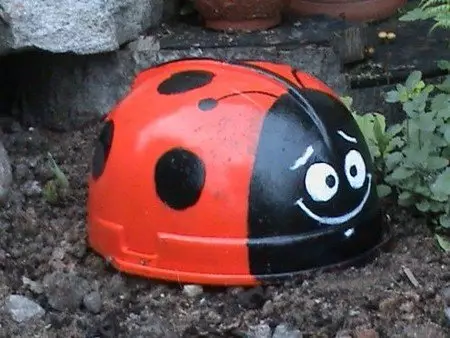 Ladybug a szakácsok saját kezével fotókkal és videókkal