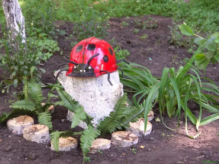 Ladybug dari koki dengan tangannya sendiri dengan foto dan video