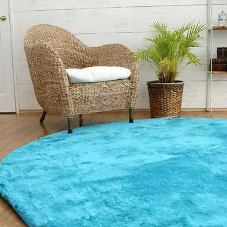 室内椭圆形和圆形地毯（30张）