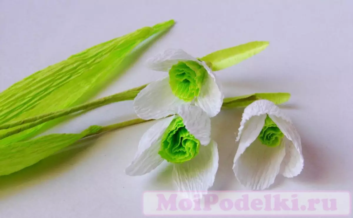 Snowdrops dogge it sels fan Felt: Masterklasse mei foto's en fideo