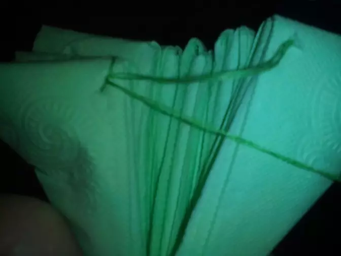 Mga liryo gikan sa Napkins: Mga Leksyon sa Video alang sa Mga Masters sa Sinugdan