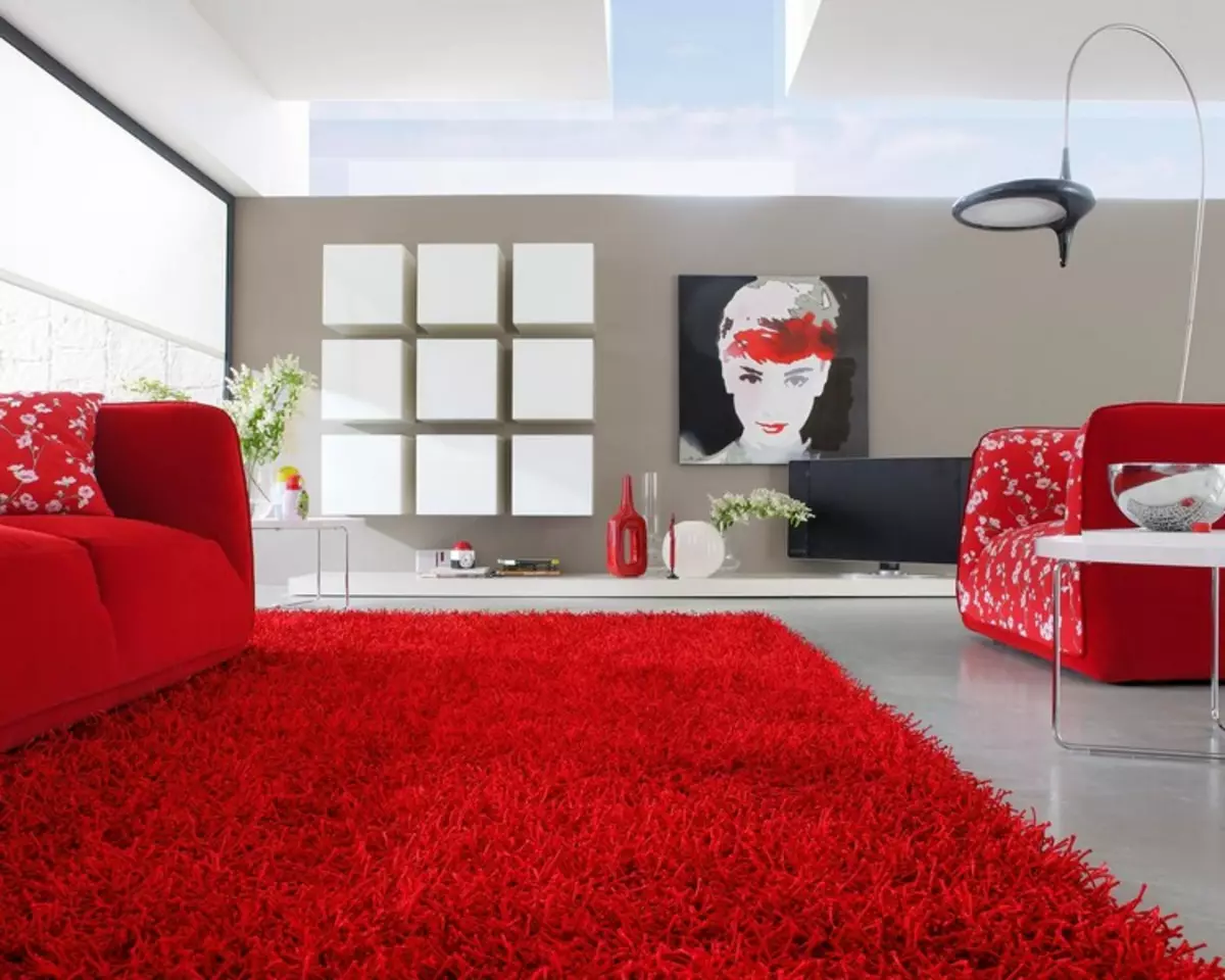内饰明亮的地毯：将涂料放入您的公寓（37张）