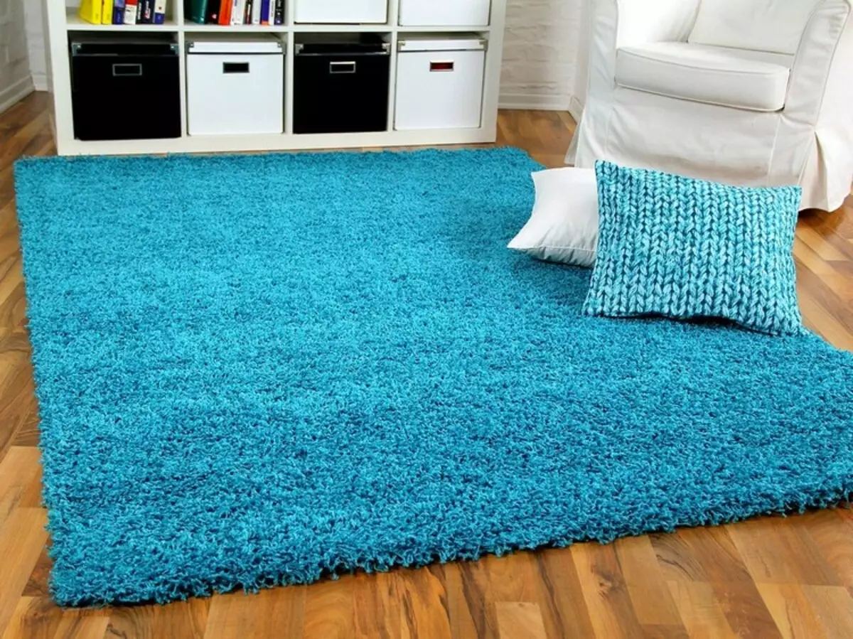 内饰明亮的地毯：将涂料放入您的公寓（37张）