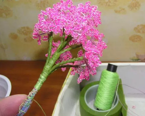 Lilac lilac creming scheme: Master Class nga adunay litrato ug video