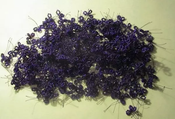 Lavender Lavender-skema: Masterklasse mei foto en fideo