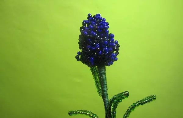 Esquema de Lavender Lavender: classe magistral amb foto i vídeo
