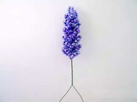 Skim Lavender Lavender: kelas induk dengan foto dan video