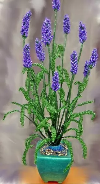 Lavender Lavender Scheme: Master Class nga adunay litrato ug video