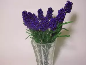 Lavender Lavender Schender: Akwụkwọ ozi nwere foto na vidiyo