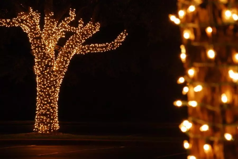 Garland on Trees.