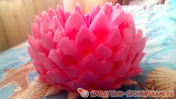 LOTUS làm bằng khăn giấy: lớp chính với hướng dẫn từng bước