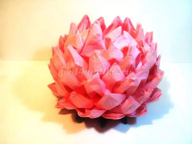 Lotus lavet af papirservietter: Master klasse med trin-for-trin instruktioner