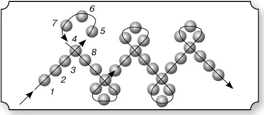 Collaret i comptes de bead: esquema de teixir per a principiants