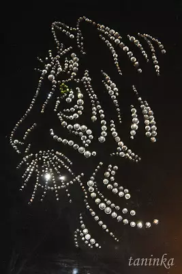 Come fare una foto dei rhinestoni di Swarovski con le tue mani con una foto