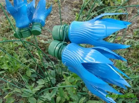 Plastic flesklokken voor tuin: masterclass met foto