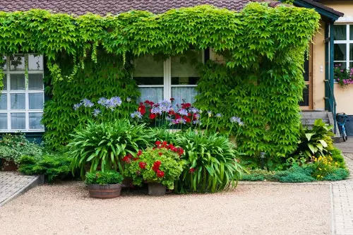 Din trädgård i engelsk stil: Funktioner i avsnittet