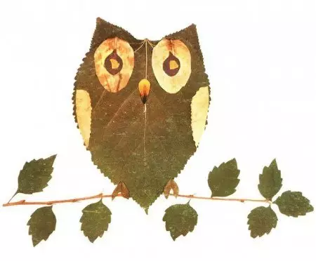 Applique "owl" mula sa mga dahon, tela at kulay na papel na may mga template