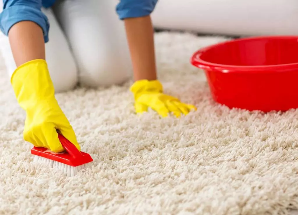 כיצד לנקות את השטיח או השטיח מ צמר