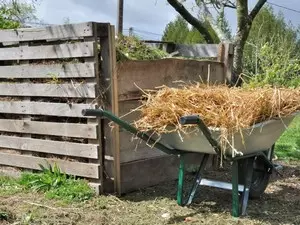 Compostagem Humanas Hands: Opções de fabricação de pilha, como fazer, foto