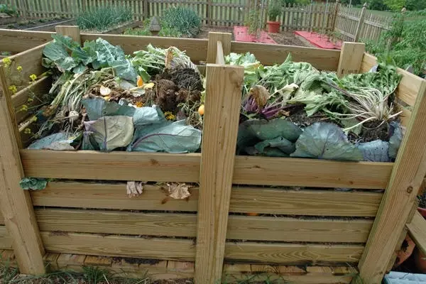 Kompost Human Ruky: Pile Výrobné možnosti, ako to urobiť, Foto