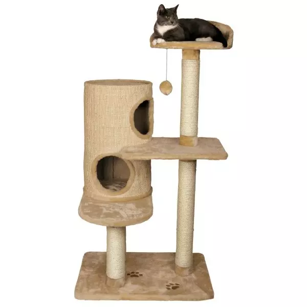 고양이를위한 Cattokers는 골판지의 집으로 단계별로 행동합니다.