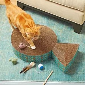 Cattakery dla kotów robią to sam krok po kroku z domem kartonu