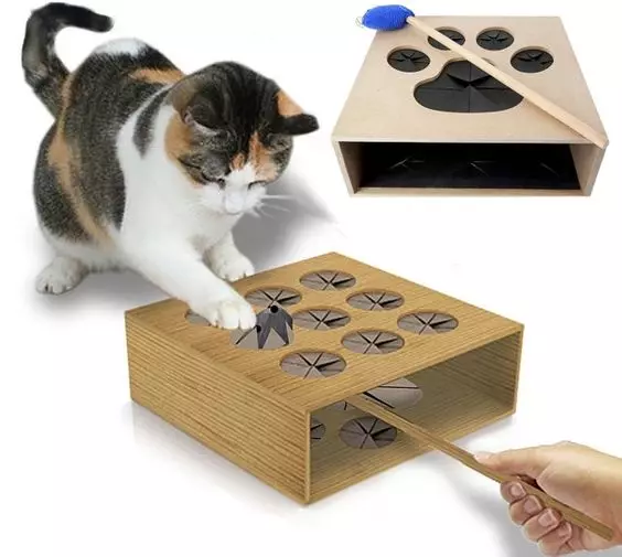 Igračka za mačku Učinite sami papir sa fotografijama i videozapisima
