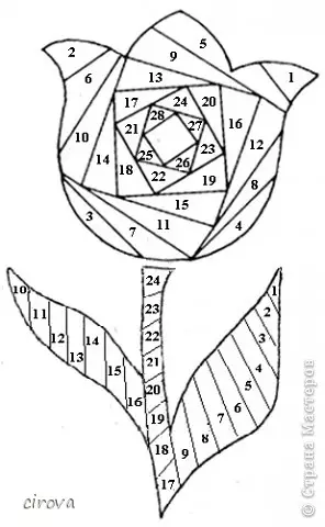 בעל קלאַס אויף קינוסייַגע: סקימז פֿאַר ביגינערז מיט פאָטאָס און ווידיאס