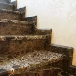 Apa jubin untuk memilih untuk tangga di rumah: jenis bahan menghadap